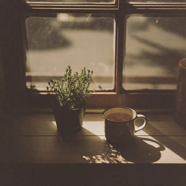 A mug of tea on a worn windowsill in the morning light
